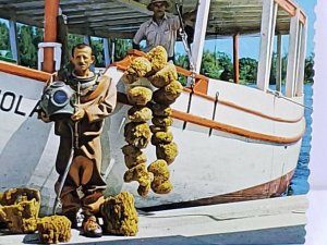 Sponge Diver Tarpon Springs Florida Ship Boat Vintage Postcard unposted   475