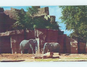 Chrome ZOO SCENE Brookfield Illinois IL AG1750@