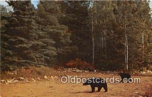 Black Bear Copper Country, Michigan Unused 