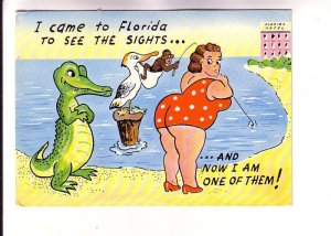 Alligator, Pelican, Monkey, Fat Woman Sights of Florida, I am One, Humour, Used