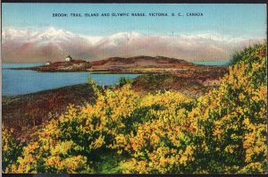 British Columbia VICTORIA Broom Trail Island and Olympic Range - LINEN