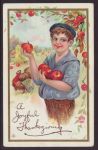 Thanksgiving,Boy Holding Apples,Turkey Postcard