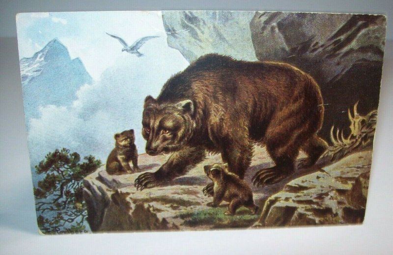Black Bears Perlbera Vintage Postcard Unused Original Antique Series 562 CA & Co