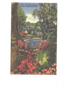 Beautiful Azaleas, Cypress Gardens, Florida, Used 1954