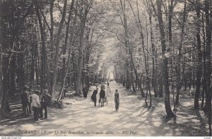 CHANTILLY, France, 1910-1920s, Le Bois Bourillon , la Grande Allee