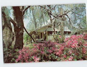 Postcard The Hammock Shop Pawleys island South Carolina USA