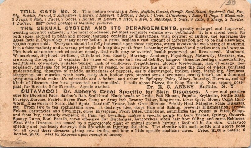 1884 PUZZLE Trade Card Dr. EC Abbey Buffalo NY Toll Gate Book Promo Human Ills 