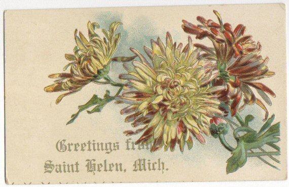 Greetings From St Helena MI -embossed-