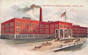 J53/ Coldwater Michigan Postcard c1910 Home of Tappan Shoes Factory 280