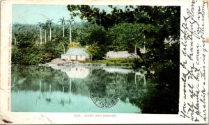 Light and Shadow lake cabin JH Bradley Chemists Bermuda Postcard