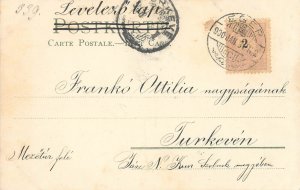 Moonlight landscape, silver print 1900