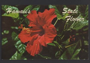 Hawaii's State Flower - Red Hibiscus ~ Chrome