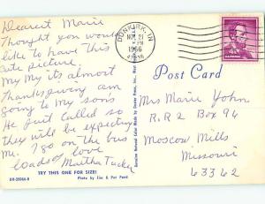 Pre-1980 CUTE KITTEN CAT PLAYS UNDER A HAT n0393