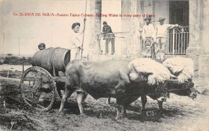 Cuba Buffalo Cattle Wagon Selling Water Vintage Postcard AA74454