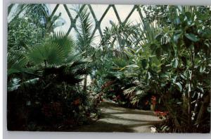 Postcard~Boettcher Conservatory~Denver,Colorado-CO