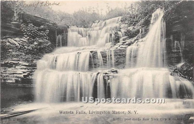 Waneta Falls - Livingston Manor, New York