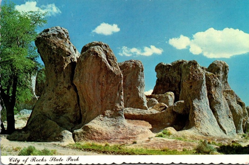 New Mexico City Of Rocks State Park Near Deming