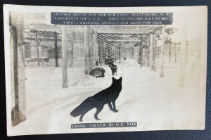 Mint Usa Real Picture Postcard Alaska Silver Fox & Fur Farm Plattsburg NY