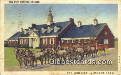 The Genesee 12 Horse Team Rochester, NY, USA Brewery 1940 corner wear, yellow...