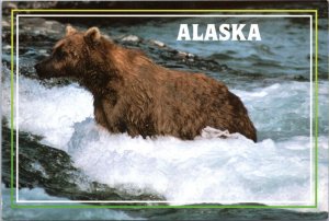 Postcard Alaska - Bear in River