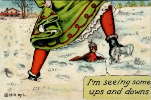 Risque Humor Poor Bird Seeun Ups and Downs Looking up her Dress Postcard W5