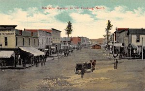 Leadville Colorado Harrison Avenue Street Scene Vintage Postcard AA60290