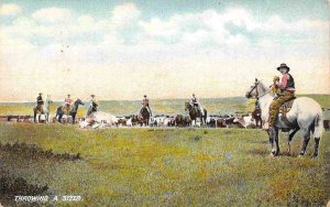 Throwing A Steer Western Cowboys Ranching 1910c postcard