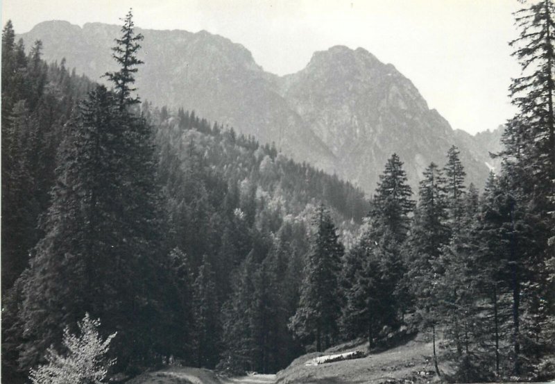 Postcard Poland Western Tatras Strazyska Valley