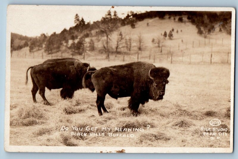 Black Hills SD Postcard RPPC Photo Black Hills Buffalo Scene Field c1940's