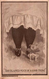 Postcard 1913 Too Blamed Much of Good Thing! Cute Dog & Fat Woman Legs Artwork