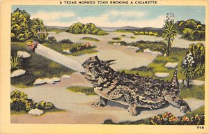 A Texas horned toad smoking a cigarette Tobacco Unused 
