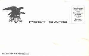 Point Mountain Hancock, New York Postcard