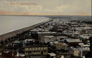 Napier New Zealand Sea Front Bldgs c1910 Postcard