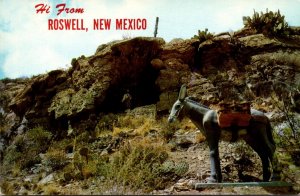 New Mexico Hi From Roswell Showing Cactus Cave Grotto