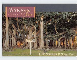 Postcard Banyan Tree, Edison Winter Home, Fort Myers, Florida