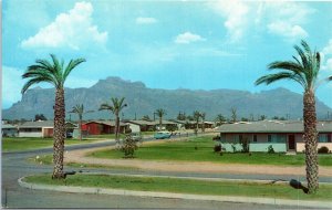 Postcard AZ Palm Springs near pache Junction Street View Dexter Press 1958 V208