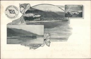 Treadwell Mine AK Pacific Coast Steamship Co c1900 Souvenir Postcard