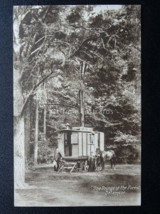 Cheshire GYPSY CARAVAN in DELAMERE FORSET The Fringe of the Forest Old Postcard