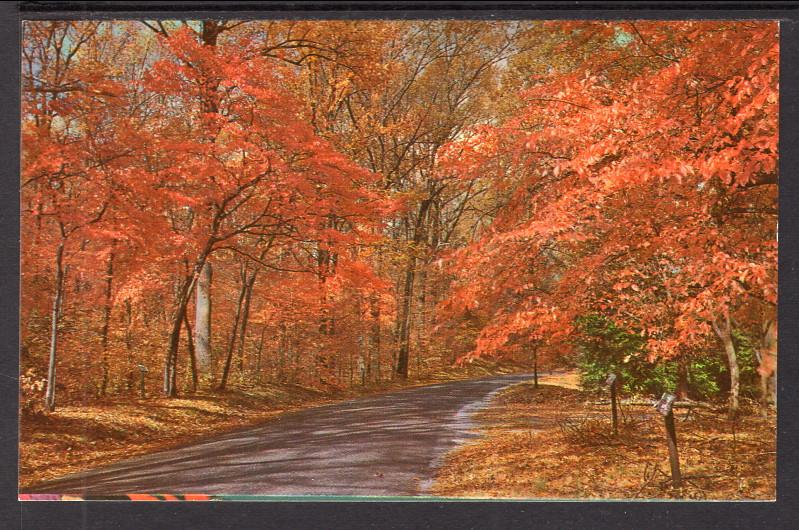 Autumn,Along the Shores of Lake Texoma BIN