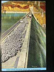 Vintage Postcard 1930-45 Sheep Across the Grand Coulee Dam Inchelium Washhington