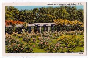Rose Gardens, Outwater Park, Lockport NY