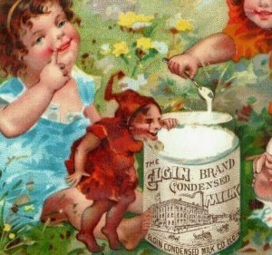 1880s-90s Elgin Condensed Milk Dr. Jayne's Gates' Coffee Ayers Lot Of 6 P205