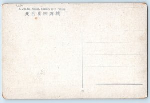 Beijing China Postcard A Wooden Arches Eastern City Peking c1930's RPPC Photo