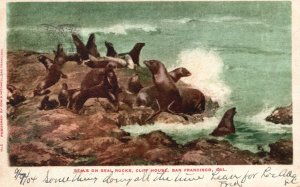 Vintage Postcard 1924 Seals on Seal Rocks Cliff House San Francisco California