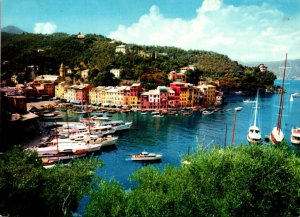 Italy Portofino Panorama del Porticciolo