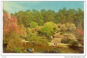 Sarah P. Duke Gardens, Duke University, Durham, North Carolina, 40-60s