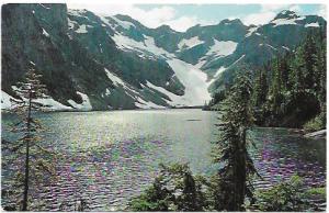 US unused postcard, Trapper Lake, Cascades, Washington State