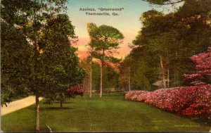 Georgia Thomasville Greenwood Azaleas In Bloom Handcolored Albertype 1931