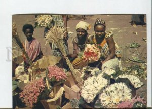 470828 Africa flower sellers girls Old photo postcard