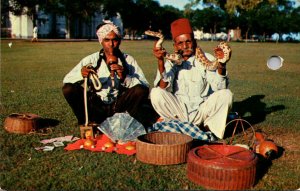 Singapore Indian Snake Charmers